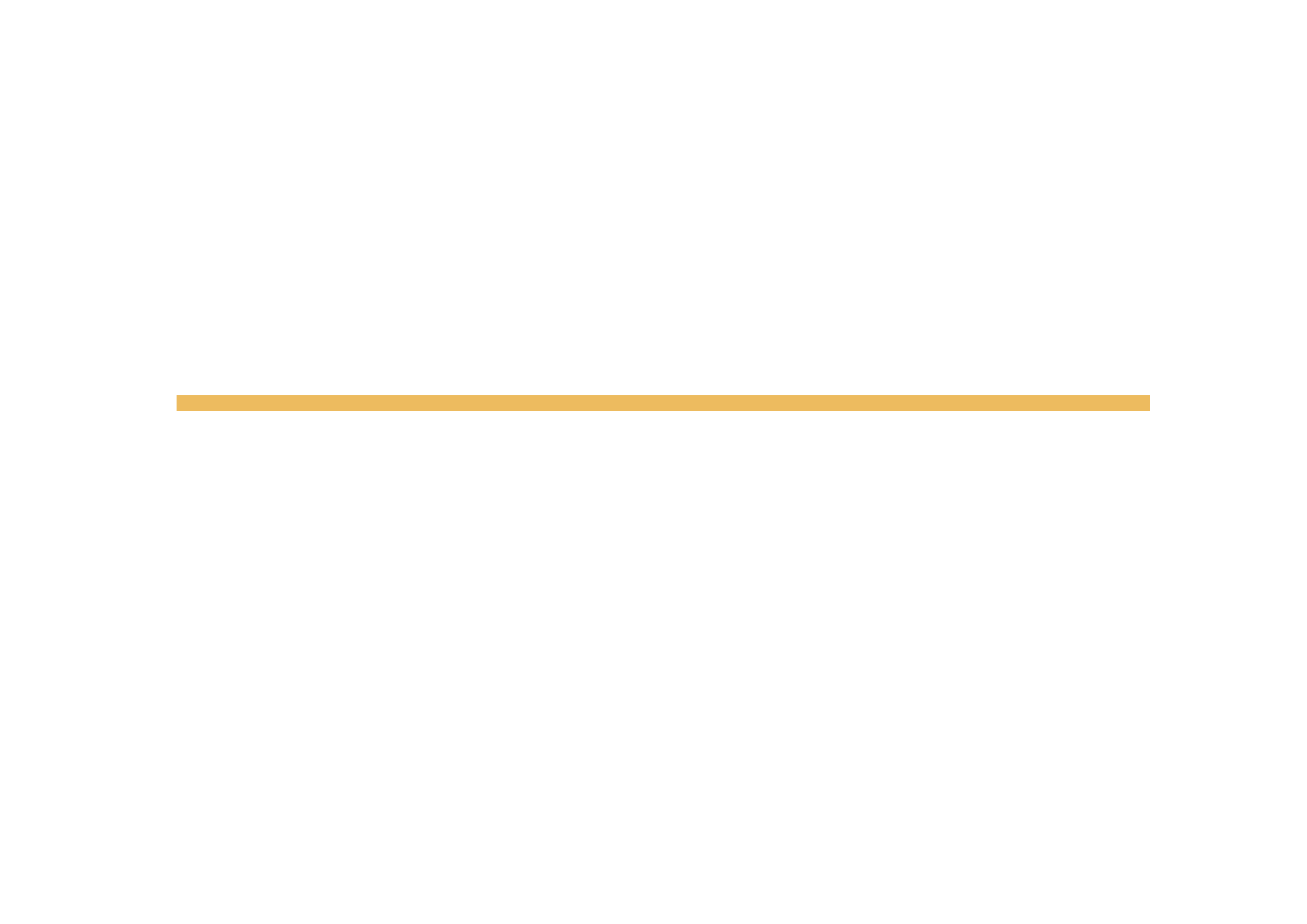 Logo BNR-white